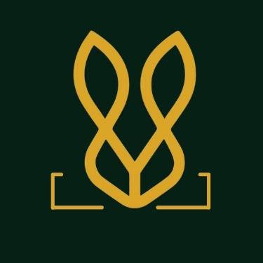 Loafers Shoes – Stylish & Comfortable Everyday