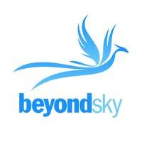 Beyond SKY | B2B Drone Marketplace for UAV Solutio
