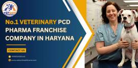 No.1 veterinary pcd pharma franchise company in ha