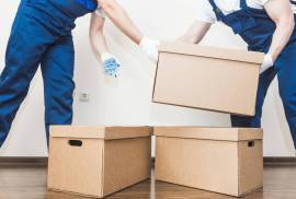 Affordable Sparta Packers Movers in Dwarka