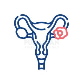 Best Ovarian Cancer Treatment Hospitals in Vijayaw
