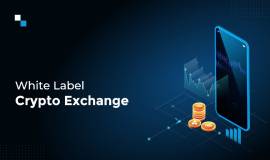 White Label Crypto Exchange Price