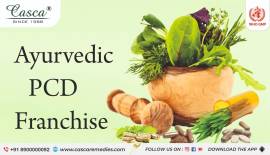 Ayurvedic PCD Franchise Company 
