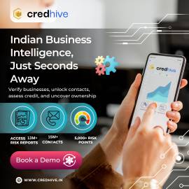 Credhive Fintech Pvt Ltd.