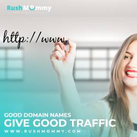 Bulk Domain Appraisal