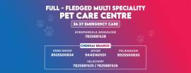 Get Expert Advise form Doctors and Buy Products On