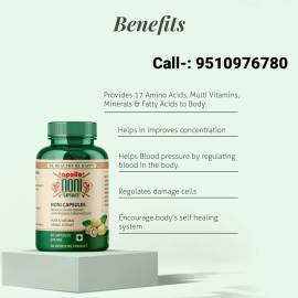 Apollo Noni Natural Herbal Extract Capsules