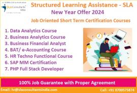 Online Accounting Course, 100% Job, 