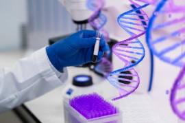 Drug Discovery and Development Services 
