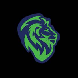 SEO Services in India | Affordable SEO Services | 