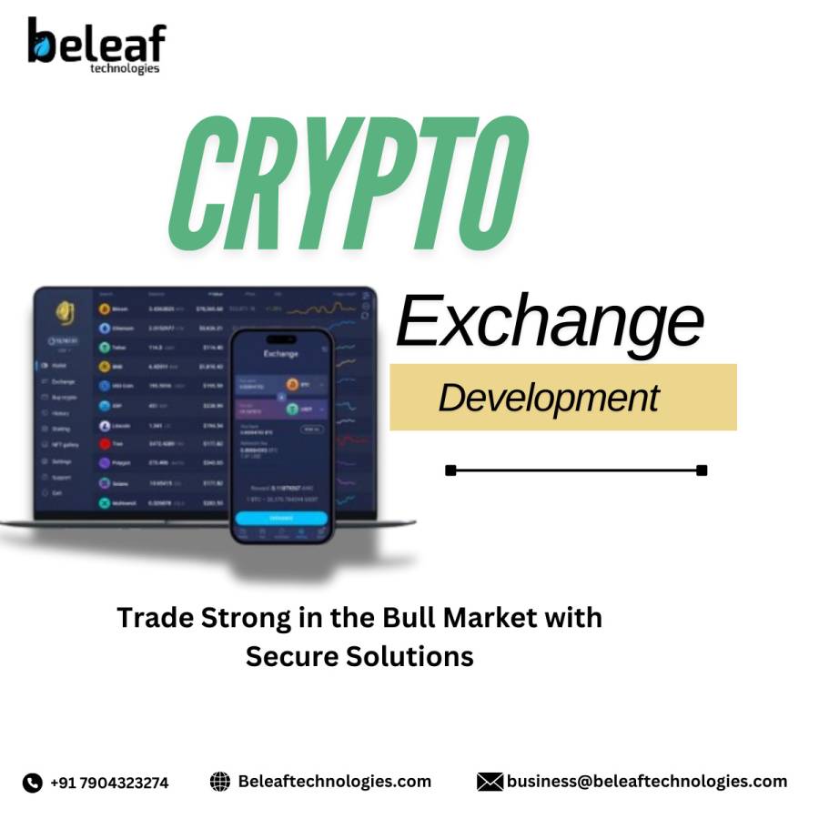 Crypto Exchange Development Company (Past)