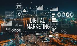Digital Marketing Course in Coimbatore 