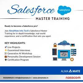 AlmaMate Info Tech - Best Salesforce Training in N