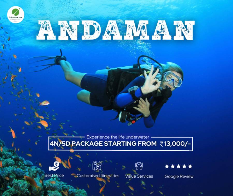 Andaman Tour Package: Your Tropical Escape with Tripoventure (Past)