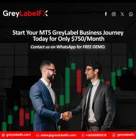 GreyLabelFX: Your Partner in Premium Grey Label Tr
