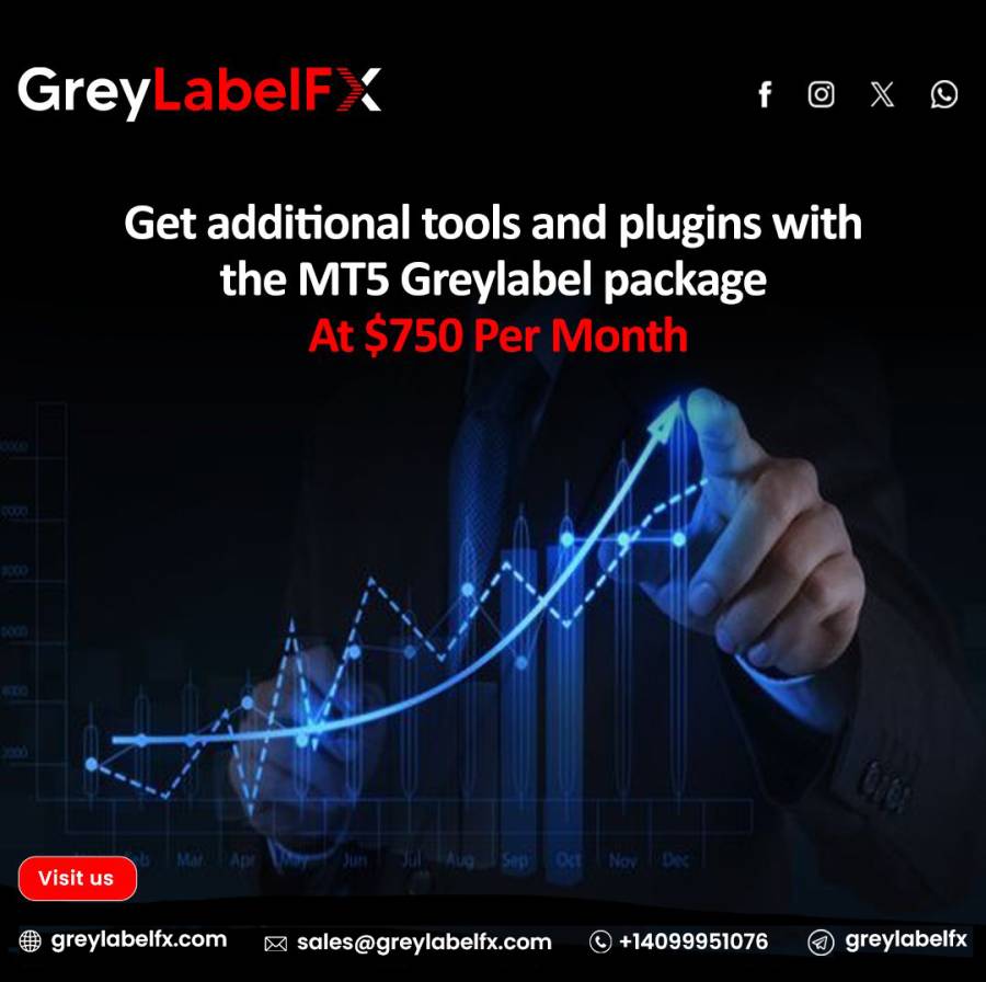 GreyLabelFX: Your Partner in Premium Grey Label Tr