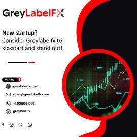 GreyLabelFX: Your Partner in Premium Grey Label Tr