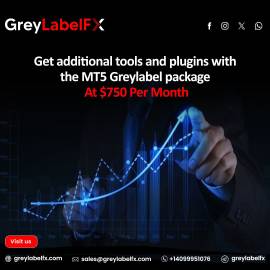 GreyLabelFX: Your Partner in Premium Grey Label Tr