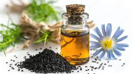 black seed oil suppliers