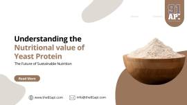 Whey Replacers in Baking: Delivering Stability, Co